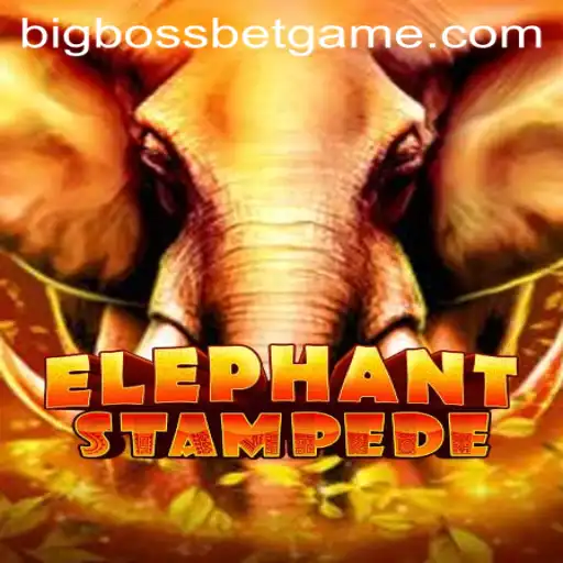 ElephantStampede: A Thrilling Adventure with BigBossBet